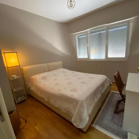 Apartment Mint Center *